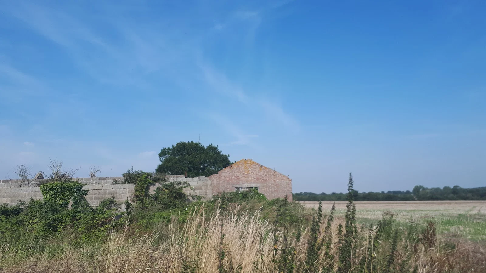 The ruins of Hill House