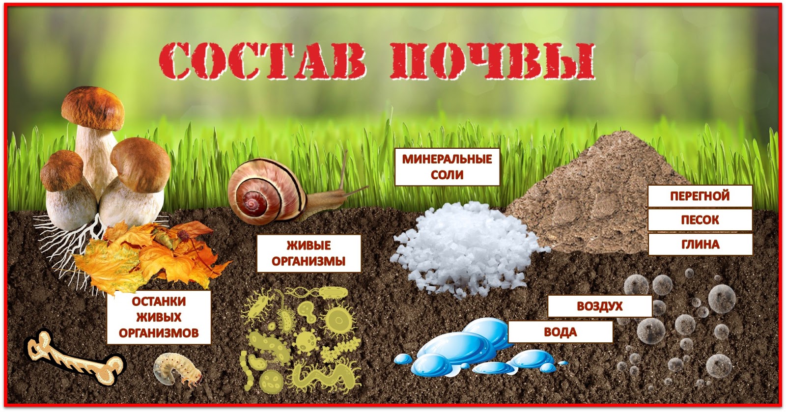 слои почвы 3 класс. состав почвы схема. почва состав почвы. механический состав почвы 8 класс география. почва.