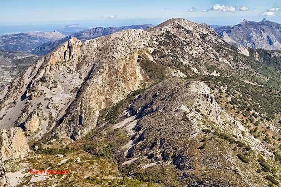 BICHOS Y MAS VLC UN PASEO POR LA SIERRA DE LA SERRELLA O EL PIRINEO