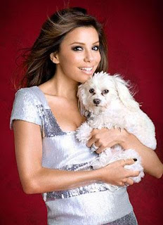 Top 10 Marvels: Top 10 Furry, fabulous and most Famous Celebrity Pets