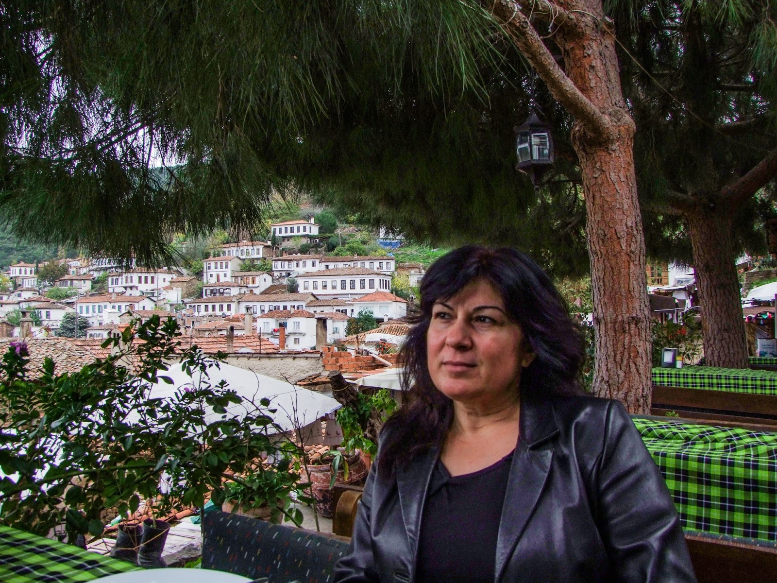 Sirince Kirkinca Koyu Selcuk Izmir