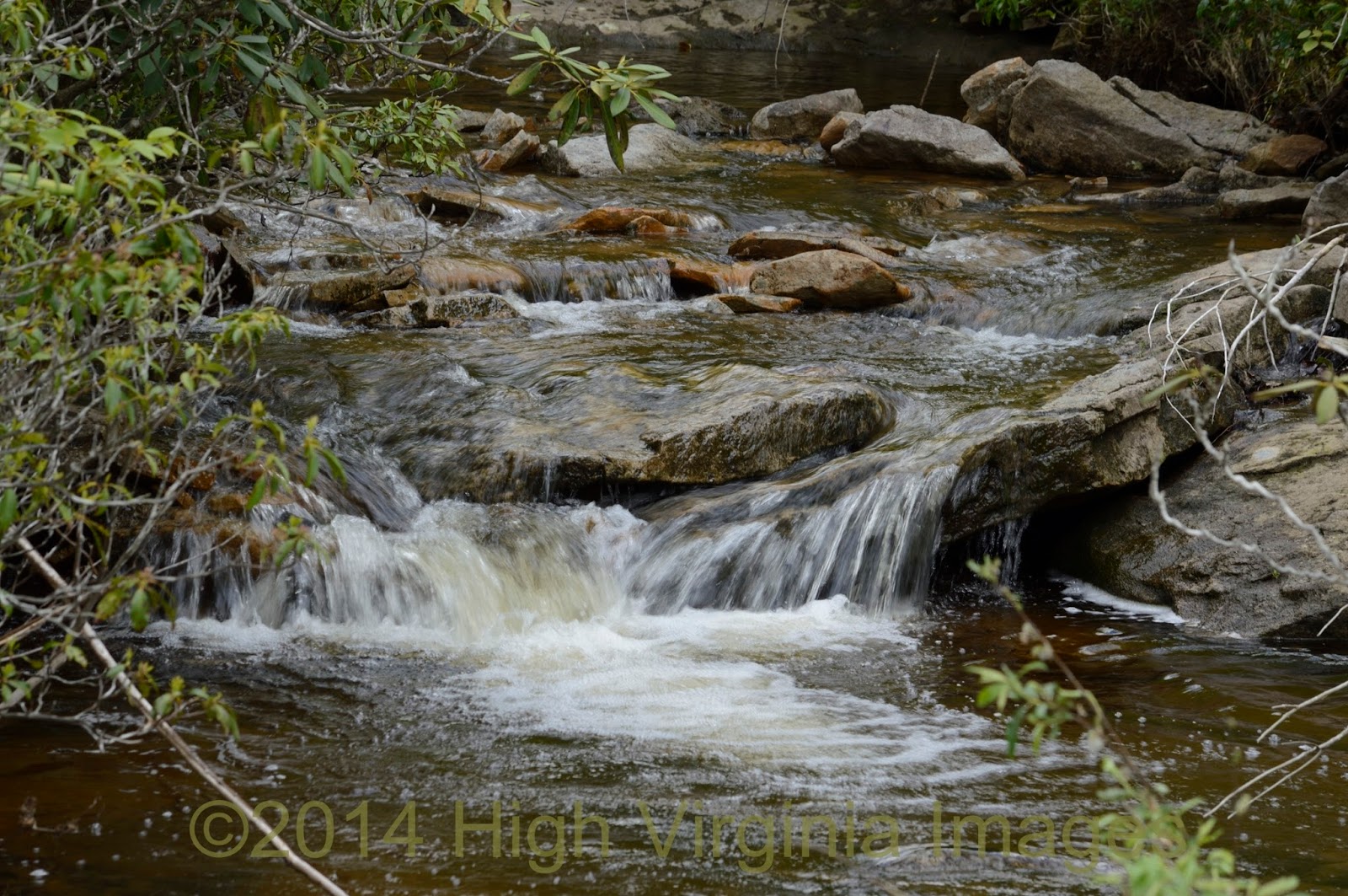 High Virginia Outdoors West Virginia trout stocking the week of March