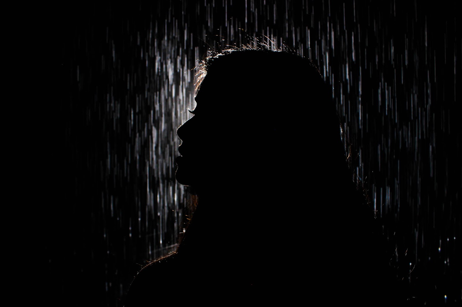 Rain Room Lacma Kelly Guidry