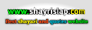 Shayrislap 