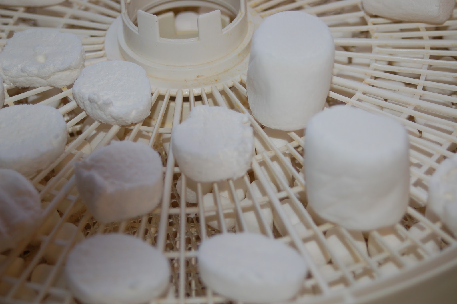 Dehydrating Way Beyond Jerky Marshmallows, of All Things!