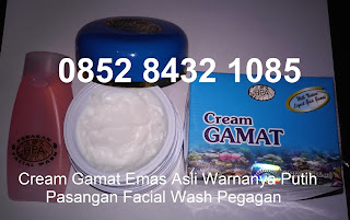 Cream obat penghilang jerawat pemutih wajah gamat emas alami herbal tradisional Cream obat penghilang jerawat pemutih wajah gamat emas alami herbal tradisional