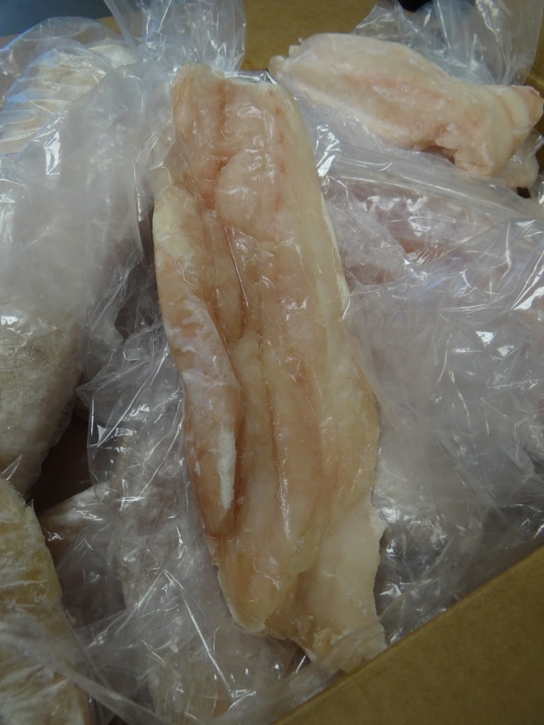 Grouper Fillet Supplier, Grouper Fish Manufacturers, Frozen Grouper