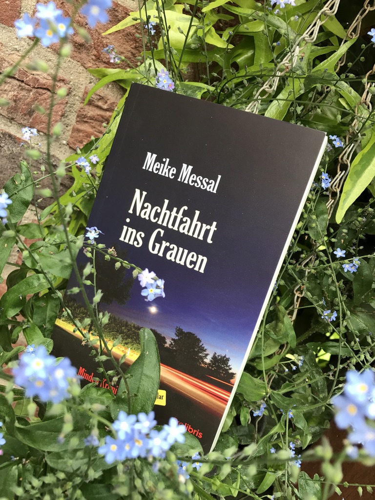 Marie S Salon Du Livre Adventskalender 7 Dezember Mit Inka