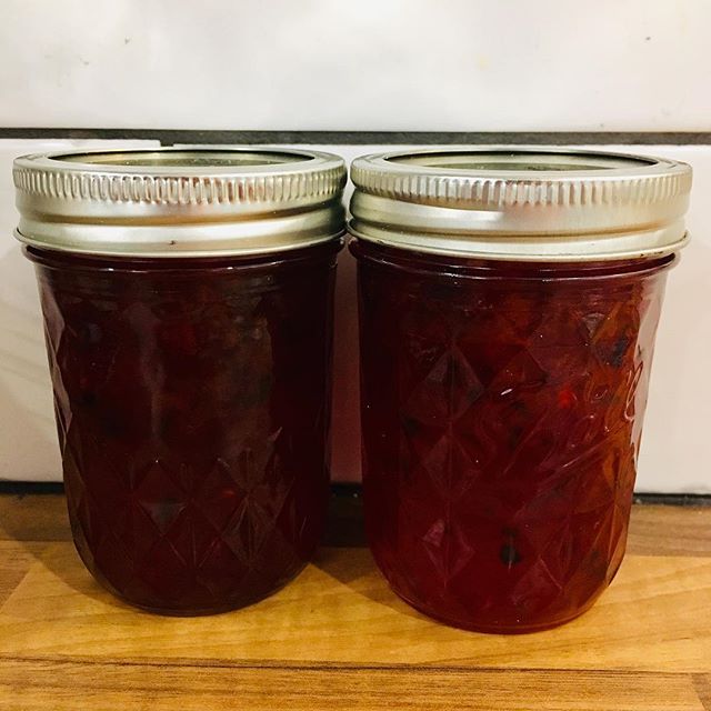 FOOD PRESERVING PLUM & PORT JAM
