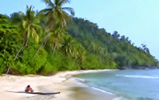 If you were stranded on an island what would you bring interview question picture