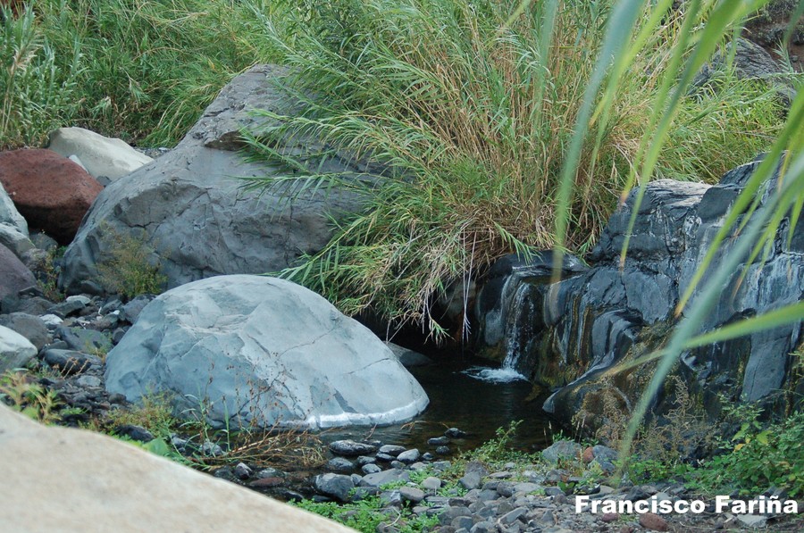 FRANCISCO FARIÑA II: AFUR - PLAYA DE TAMADITE - AFUR