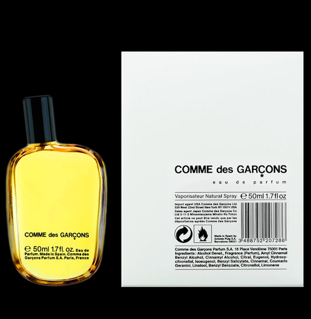 Saklı Notalar.. Comme des Garçons Comme