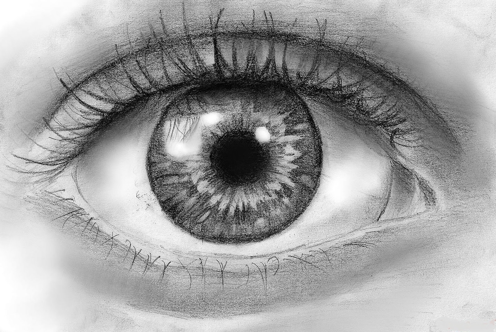 How To Draw How To Draw An Eye In Pencil