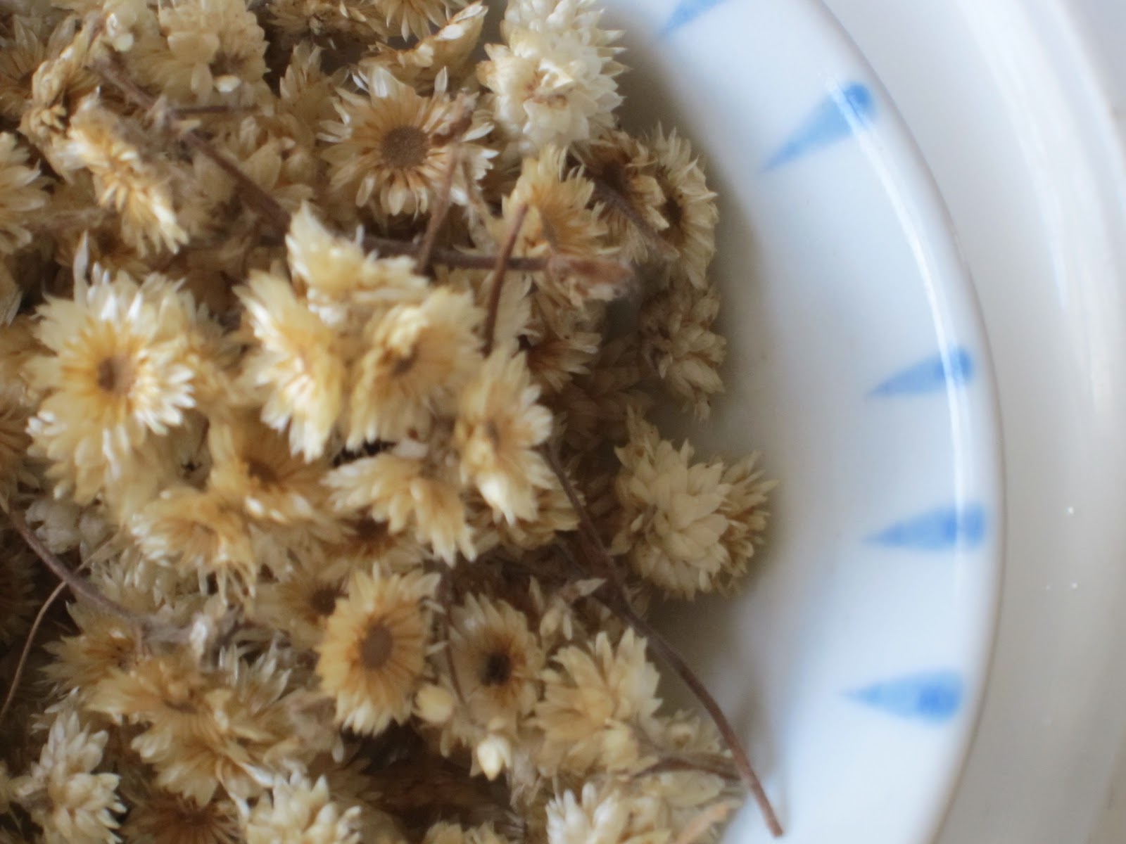 How Long Can Flowers Be In The Cold at Peter Sinkler blog