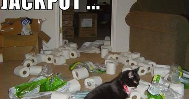 Не нравится тут. Подфартило. Я тут всю жизнь живу и всем советую. А чем тебе болота не нравятся я тут живу и всем советую. Надпись животные.