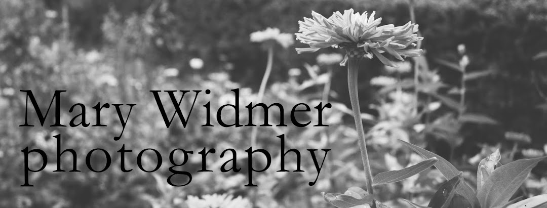 Mary Widmer Photography