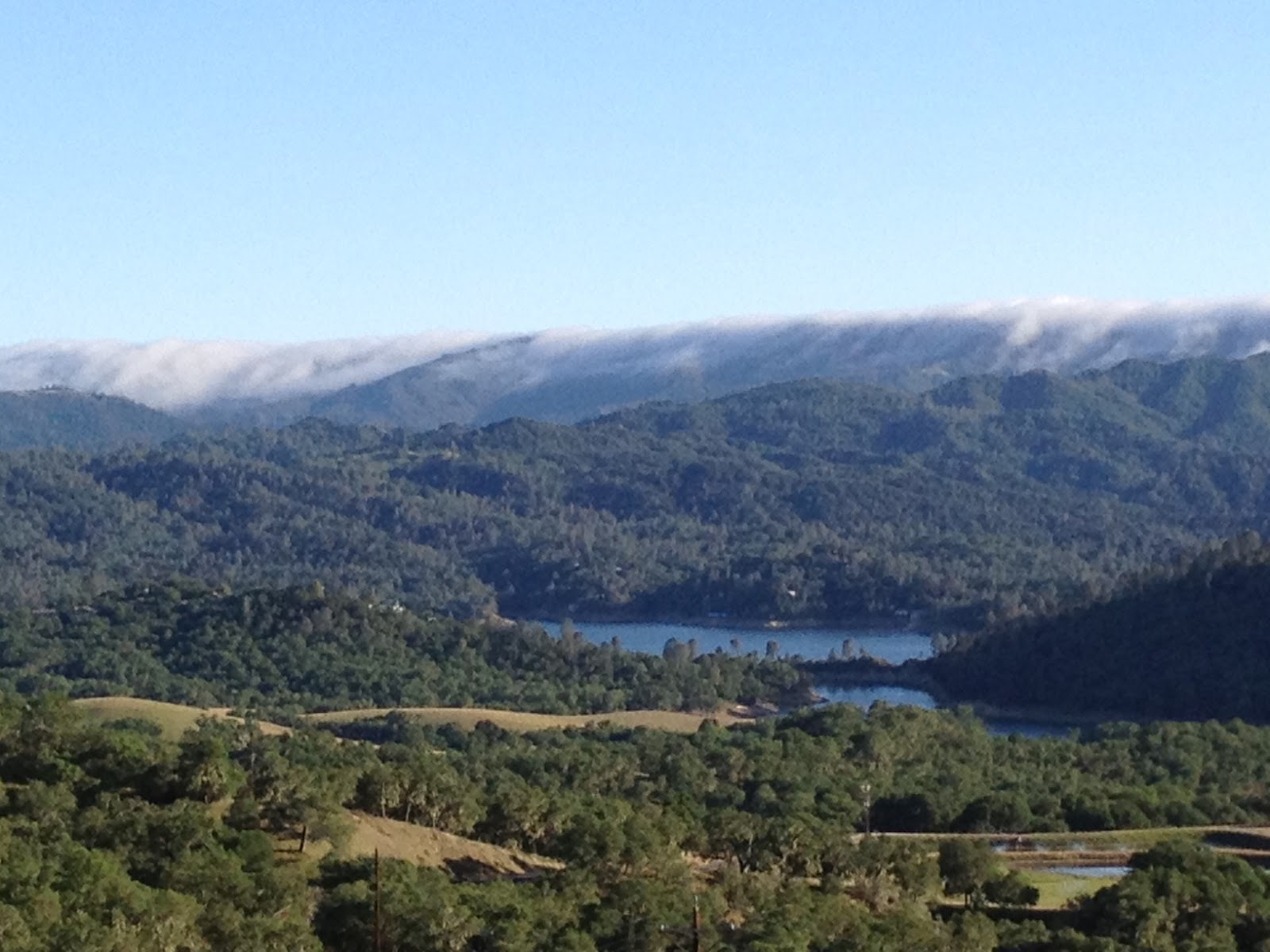 Wildflower Race Report