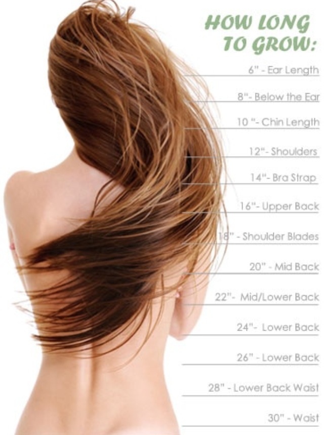 10 Best Ayurvedic Home Remedies For Hair Growth