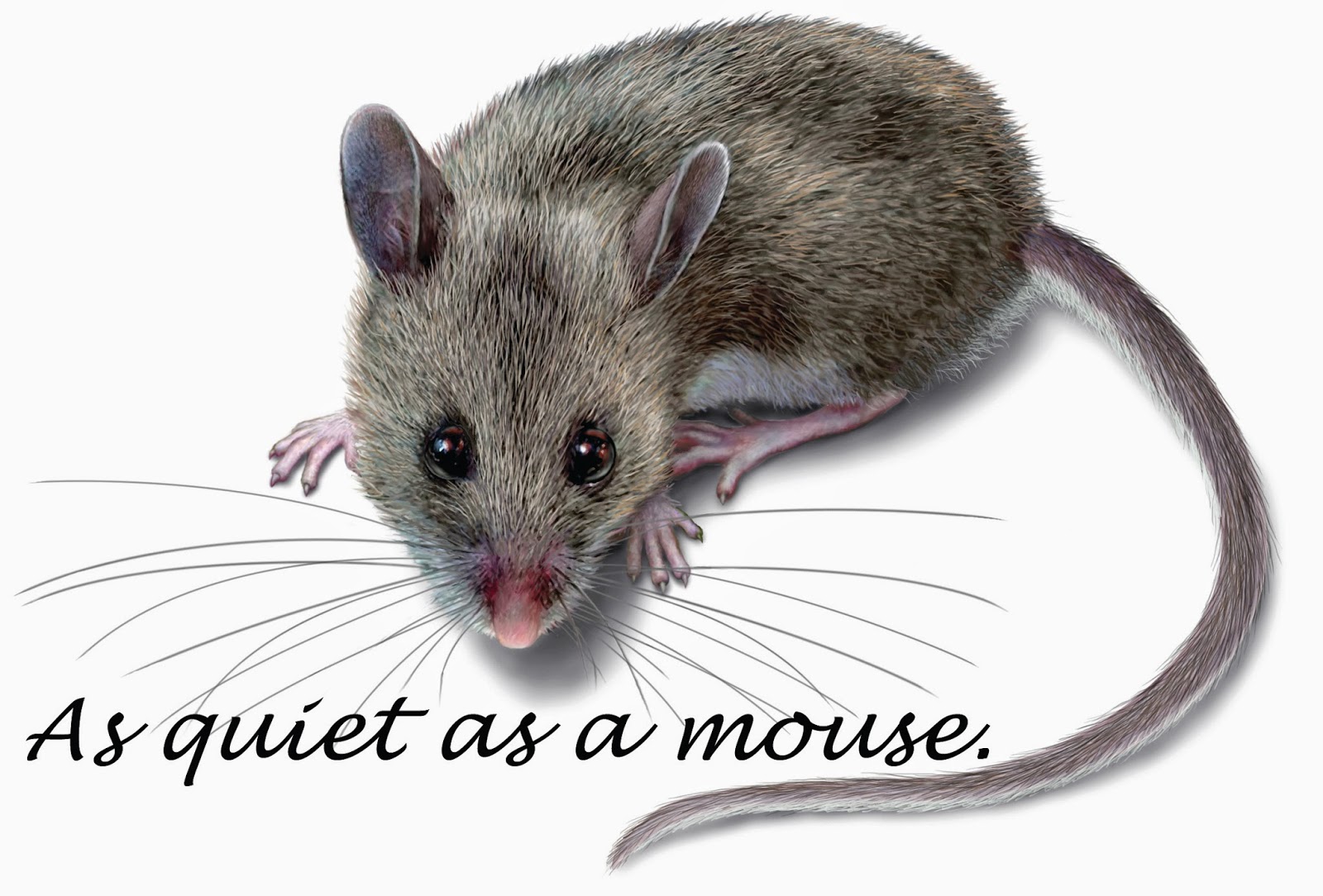 clipart quiet as a mouse - photo #28