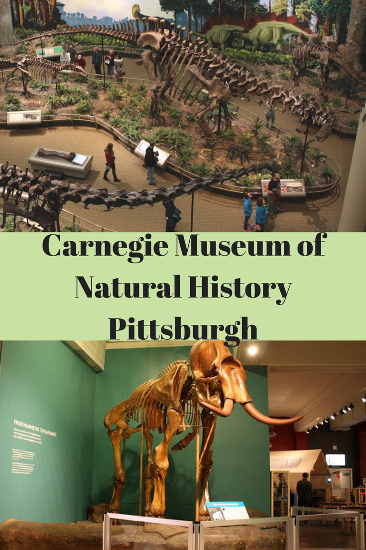 A Little Time and a Keyboard Walking with the Dinosaurs at the