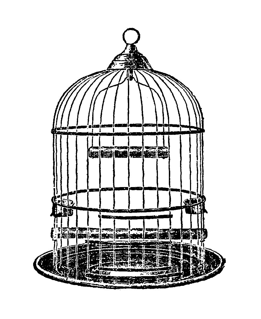 Клетка без птицы. Клетка для попугая. Птичья клетка. Клетка на прозрачном фоне.