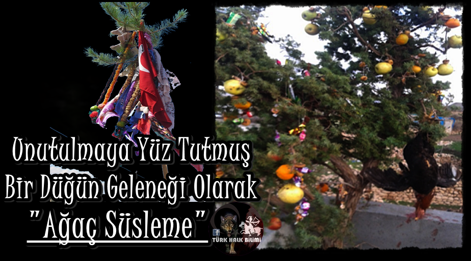 Türk Halk Bilimi (Turkish Folklore) : Unutulmaya Yüz Tutmuş Bir Düğün