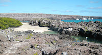 Tidal Pools Adjacent to Darwin Bay, Genovesa Island, Galapagos