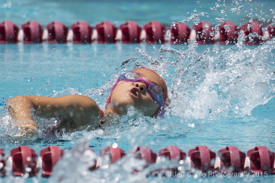 Funny swim team quotes picture