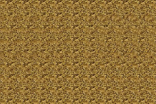 Budzenie umysłu - dzień po dniu: Obrazy trójwymiarowe