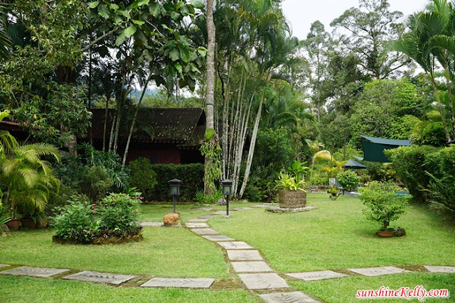 Aman Rimba Private Estate, Aman Rimba, Nature Getaway, Janda Baik, Bentong, Pahang, Nature Staycation, Resort Review, Green Vacation, Environmental Vacation, Back to nature
