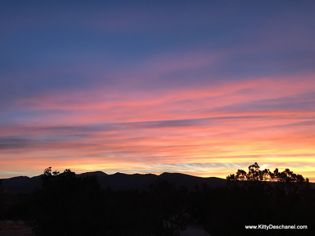 View from our kitchen window 