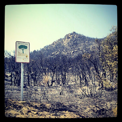 Cartell a la carretera de Cantallops que alerta del perill d'incendis