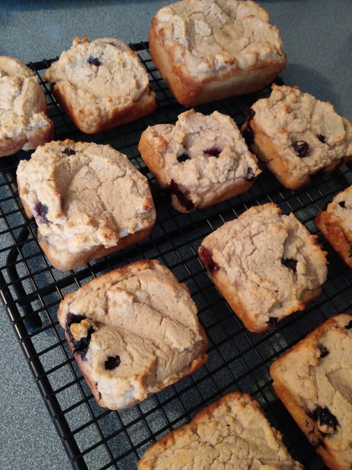 My Own Kitchen Chronicles Gluten, Dairy, EggFree Blueberry Muffins