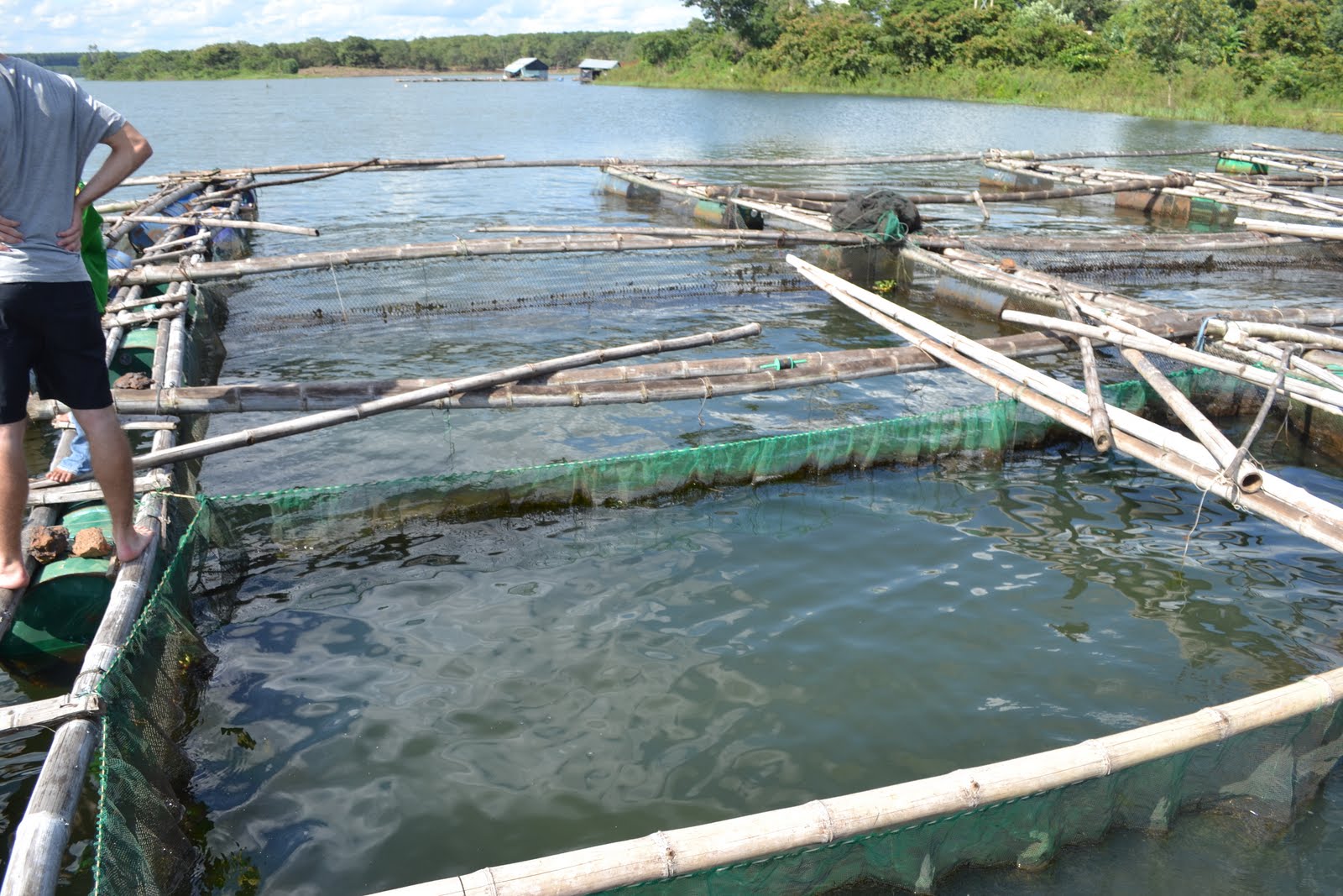 VIETNAM FISH FARM