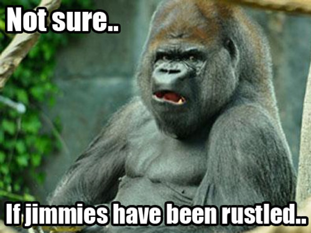 CherrySue, Doin' the Do Things That Rustle My Jimmies 24/03/17