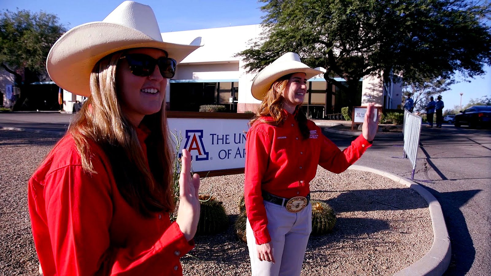 University Of Arizona Vet School School Choices