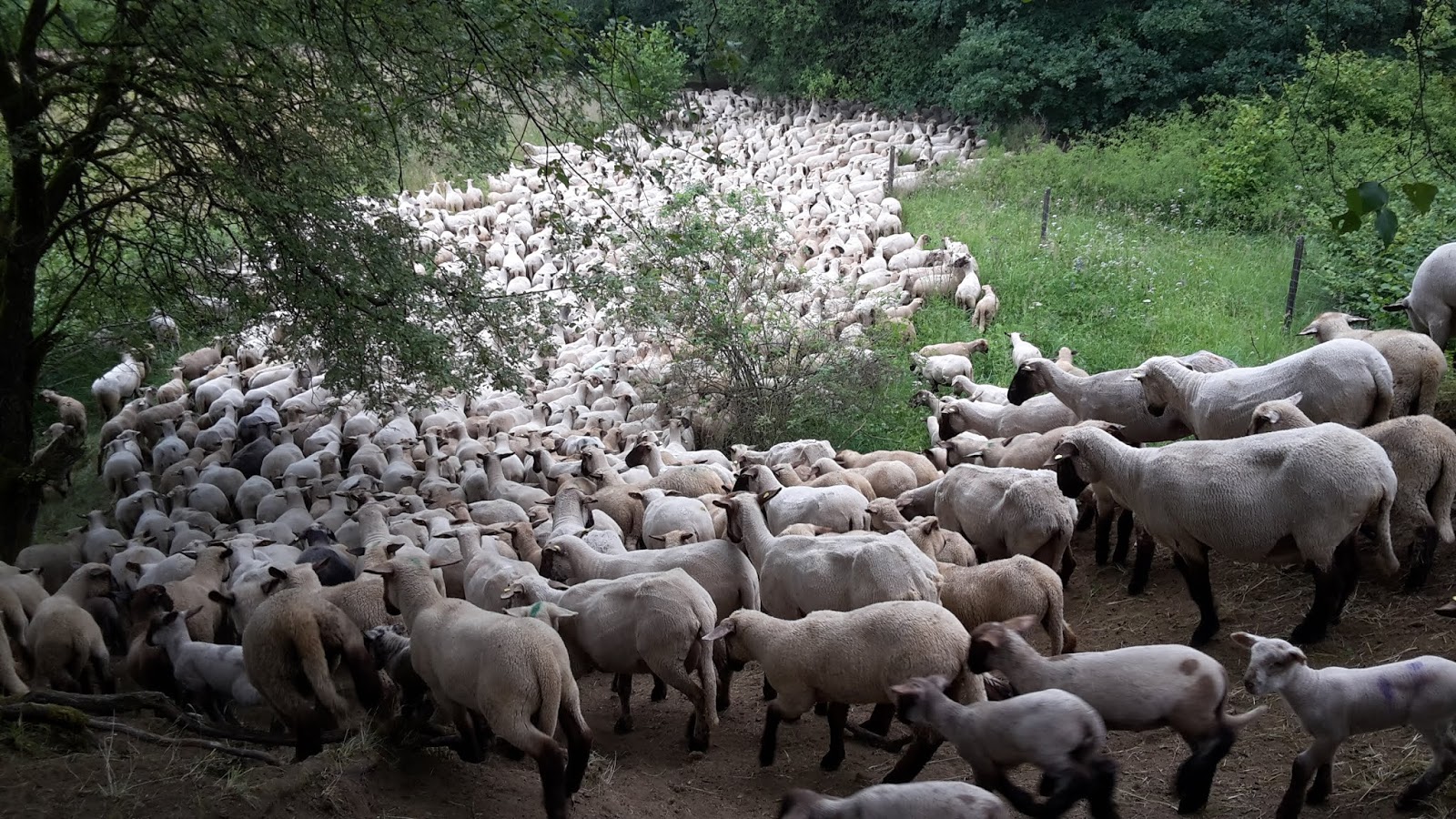 5 Fragen An Eine Haus Neueigentumerin Bernd Gonzales