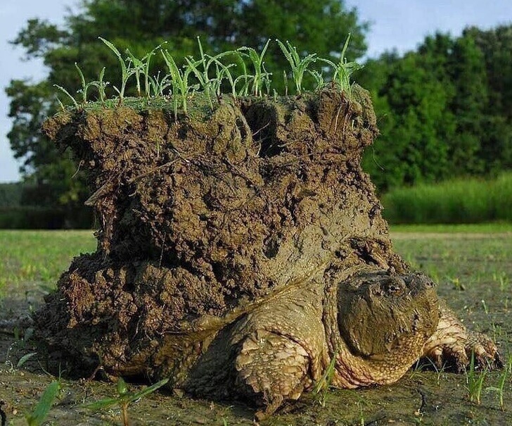 18 Rare Images That Left Us Totally Speechless 18 Rare Images That Left Us Totally Speechless