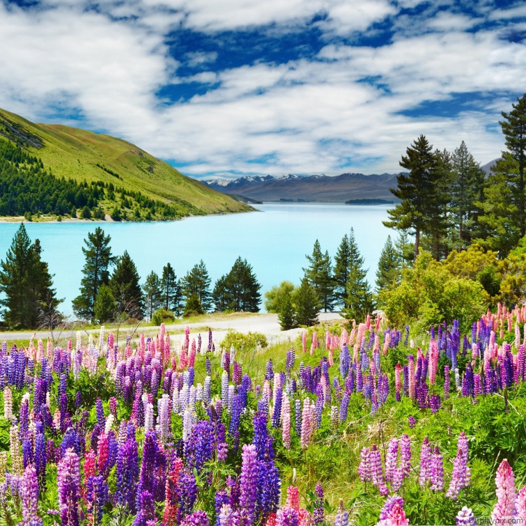 Beautiful Nature Profile Pictures Top Profile Pictures Display Pictures