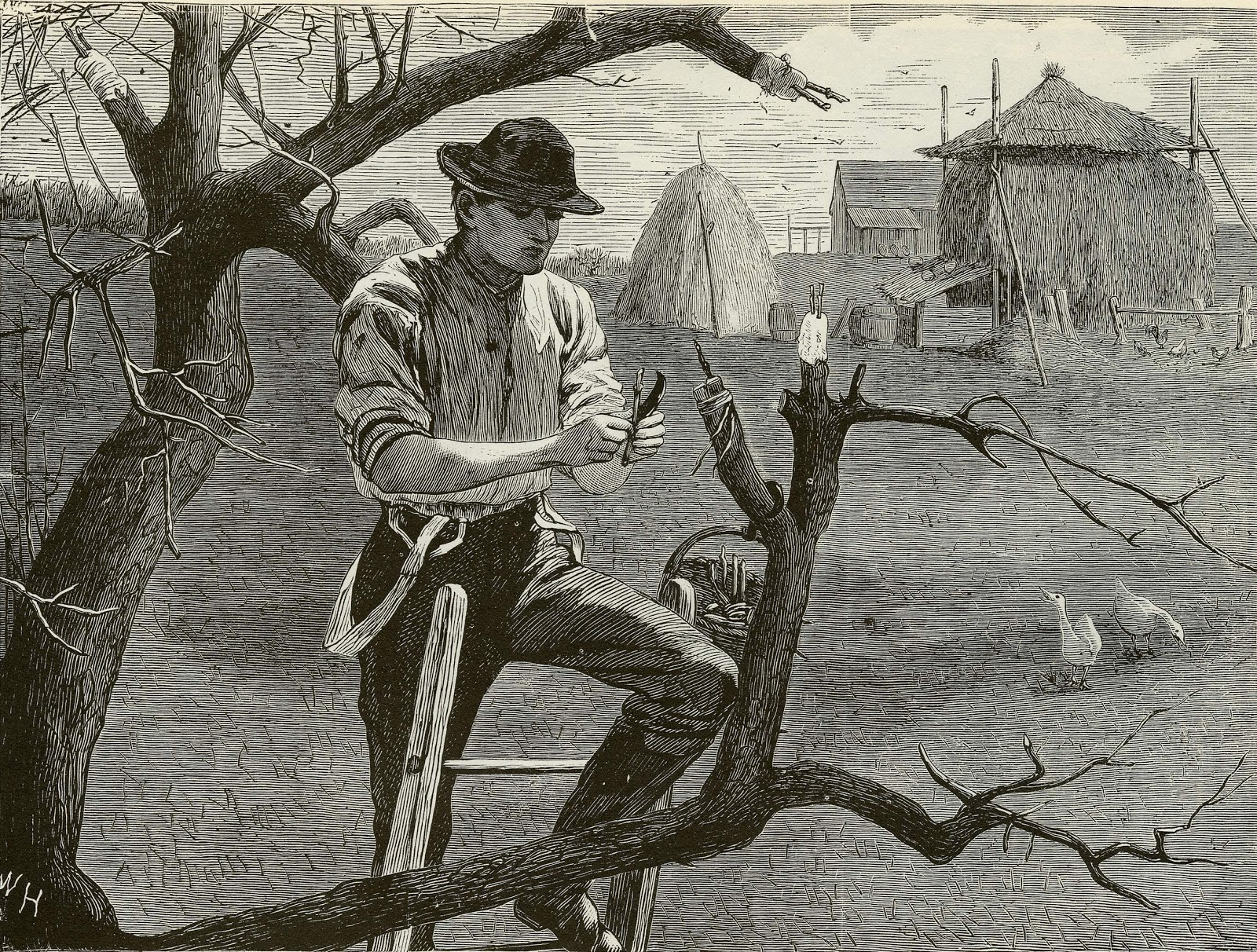 19th Century American Paintings Winslow Homer