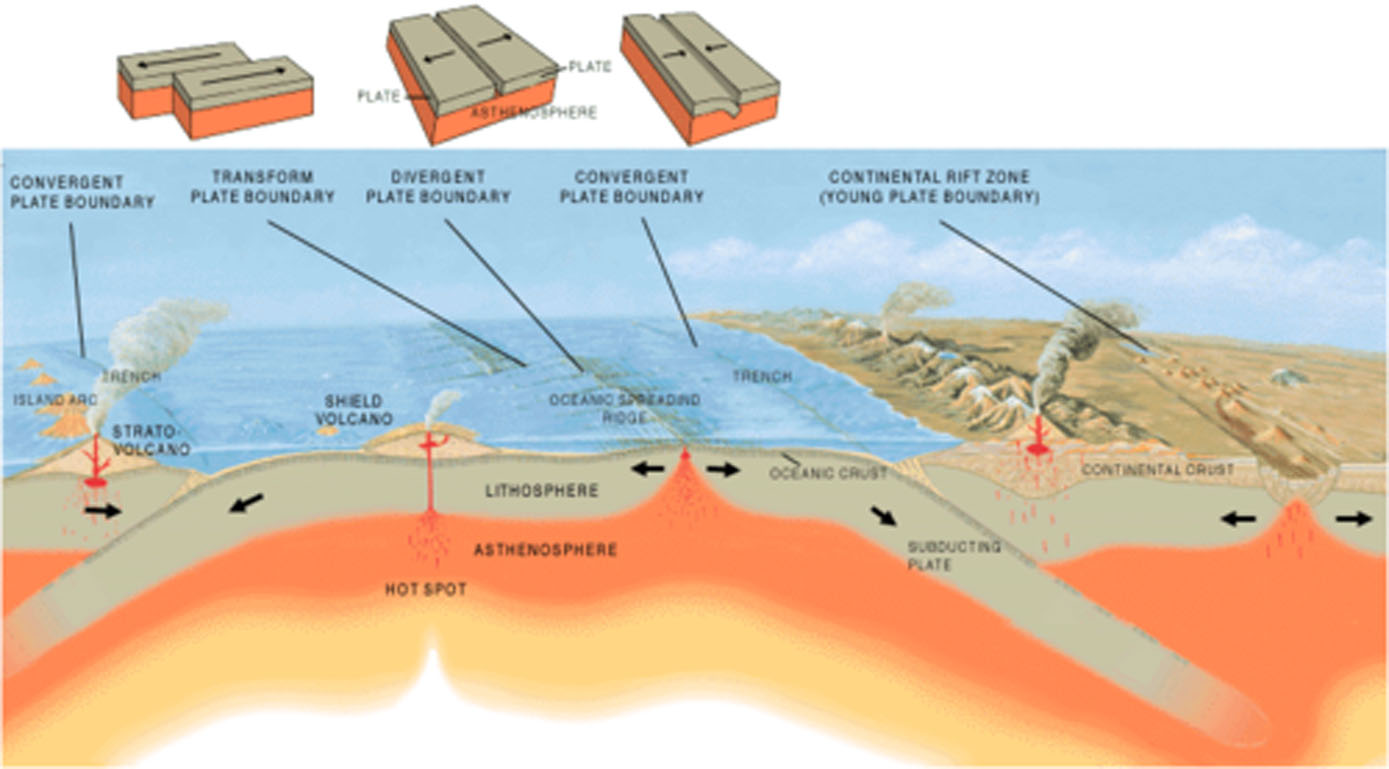 Plate tectonics Understanding and definition of Plate