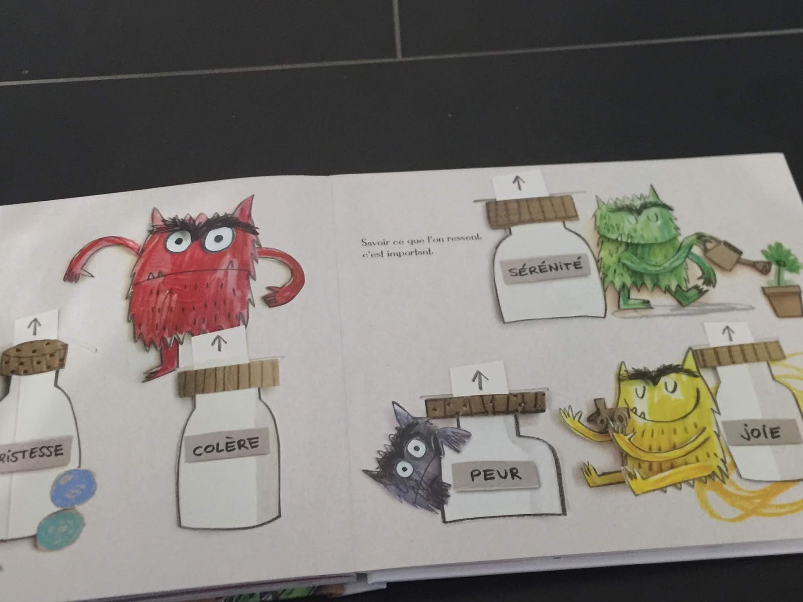 Les recettes de la débrouille Présentation du livre "La