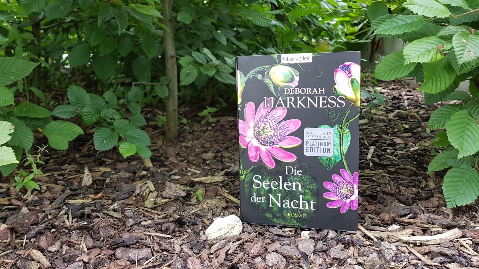 Die Seelen Der Nacht Die Seelen Der Nacht