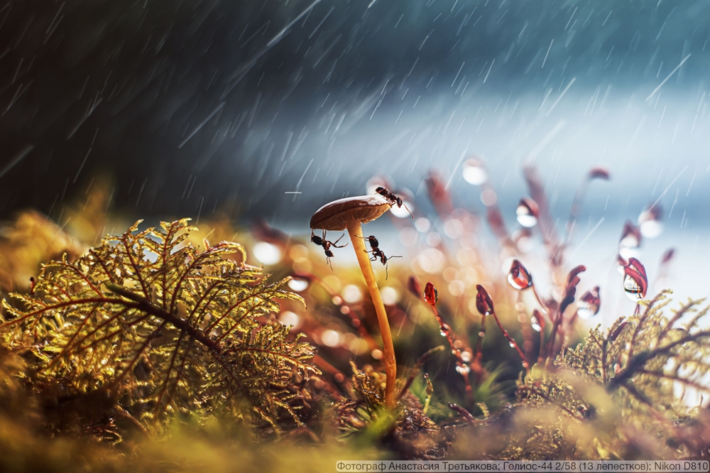 Гелиос-44 2/58