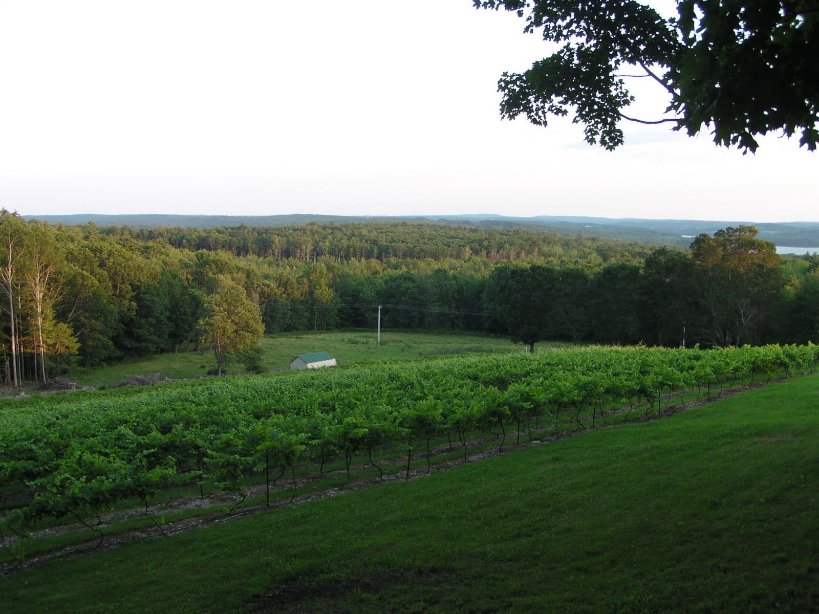 Travel with Kevin and Ruth Savage Oakes Winery near Union, Maine
