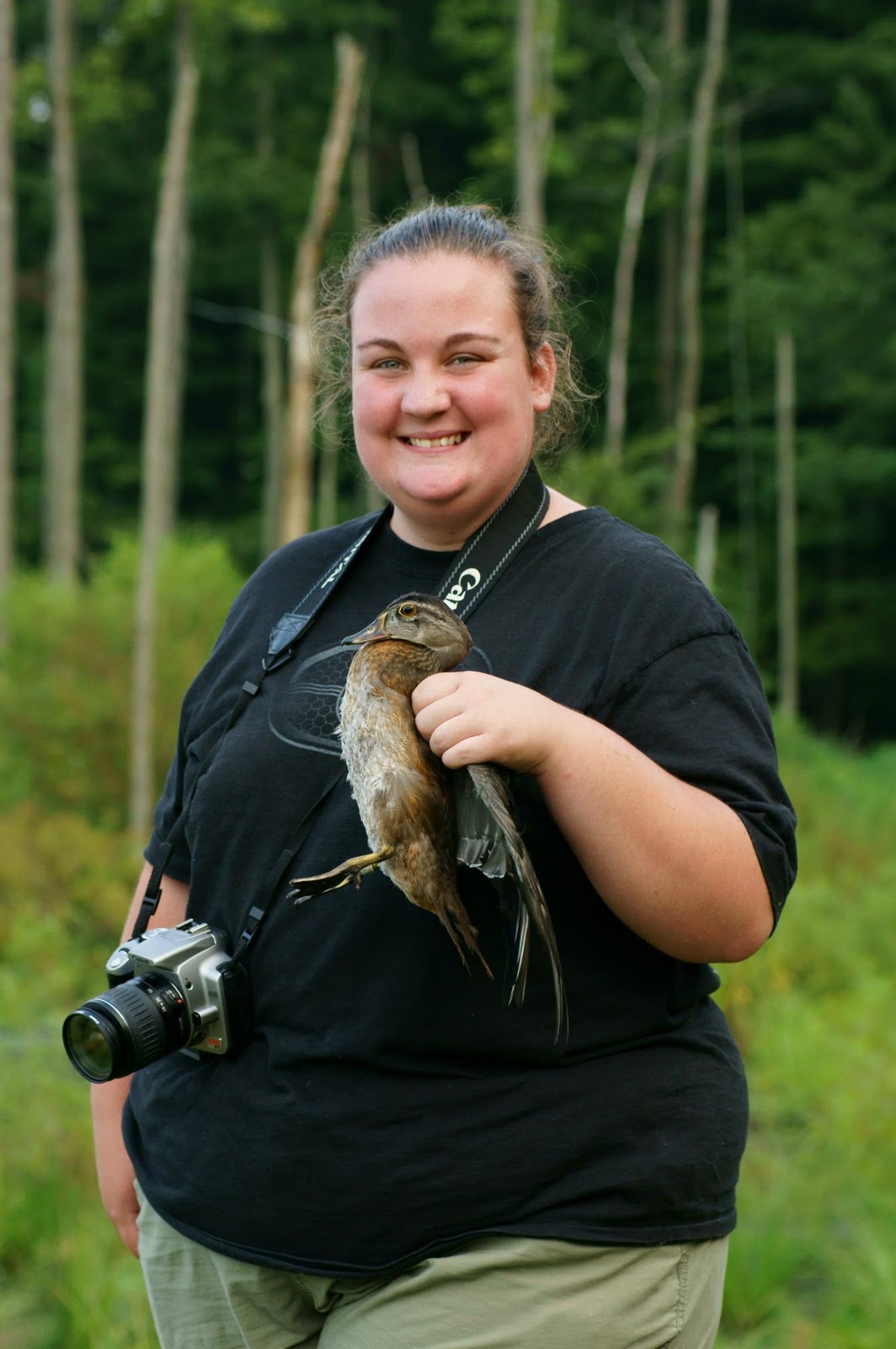 Presque Isle State Park Bird Banding Duck Banding