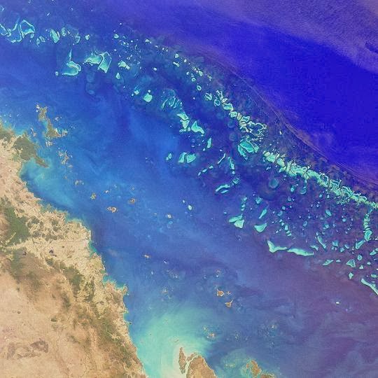 First deepwater fossil study reveals Great Barrier reef's past and future 