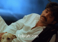 Image result for brahmi gifs