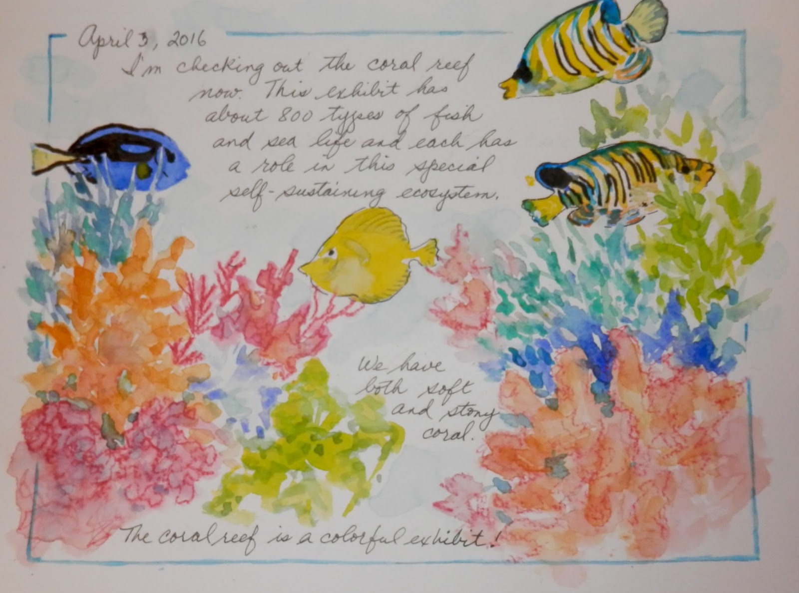 Alicia's Aquarium Journal April 2016