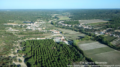 Marianos